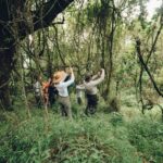 East Africa National Parks