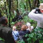 Uganda Gorilla Trekking Experience