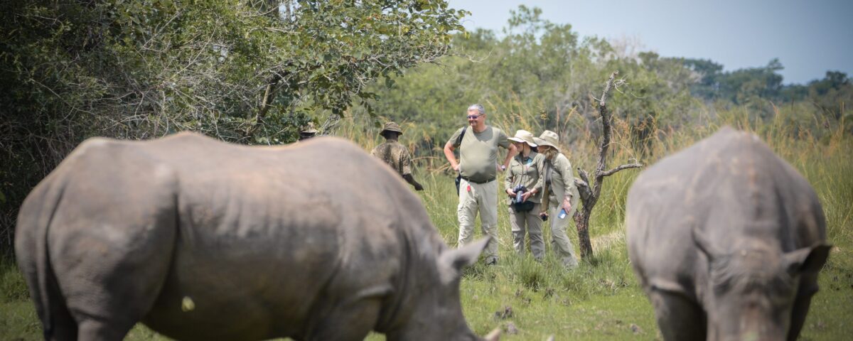 Eco-Tourism