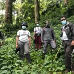 Is It Safe to Travel to Uganda for a Gorilla and Wildlife Safari?