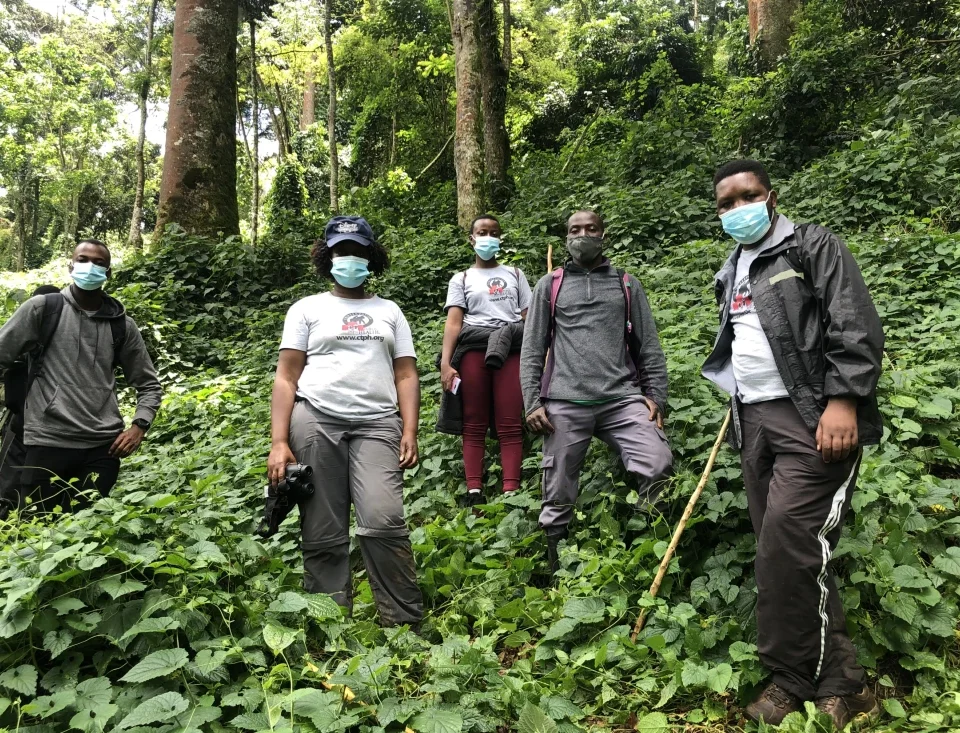 What is the Age Limit for Gorilla Trekking in Uganda?