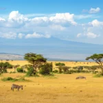 What Wildlife is Best Seen During the Dry Season?