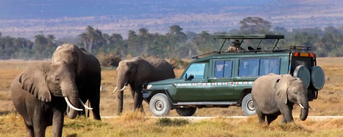 Understanding Uganda’s Diverse Ecosystems