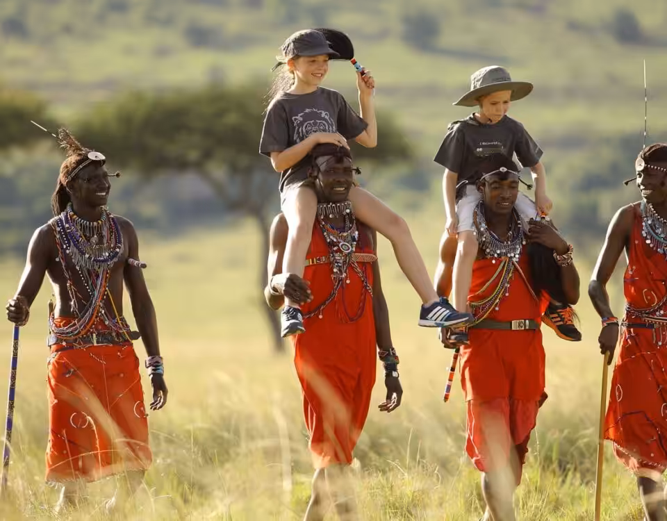 Great Wildlife Migration Experience