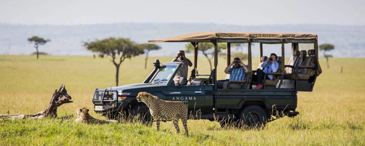 Game Drive in Kidepo Valley National Park