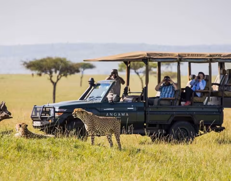 Game Drive in Kidepo Valley National Park