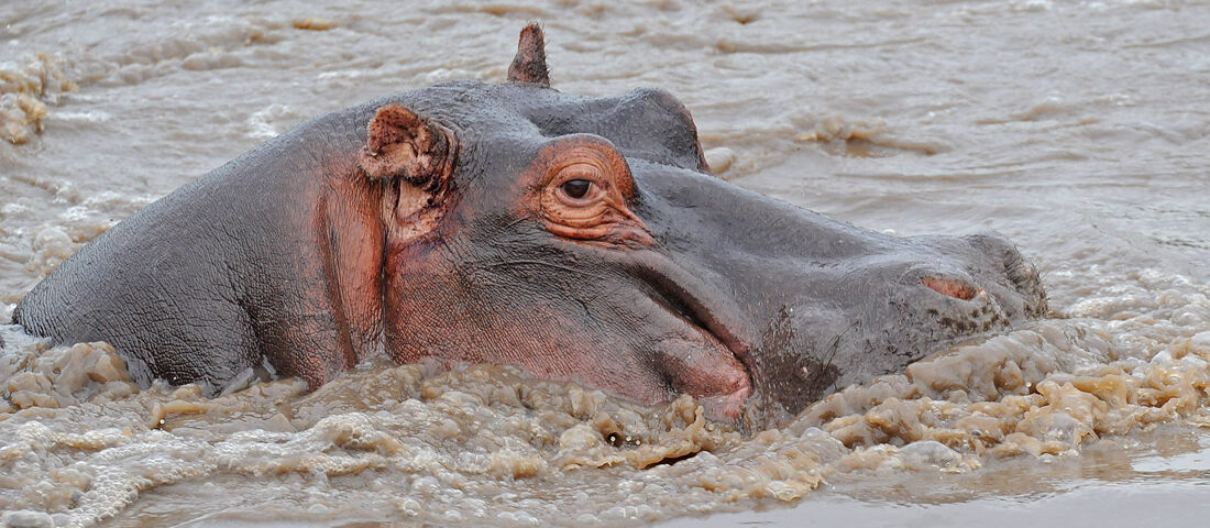 Exploring Lake Mburo National Park