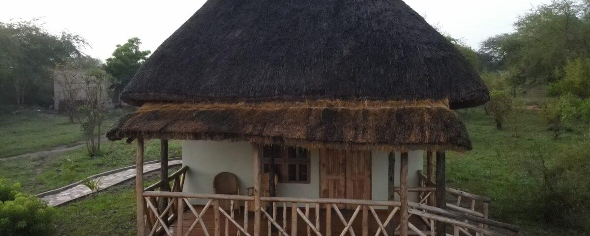 Where to Stay Near Murchison Falls National Park?