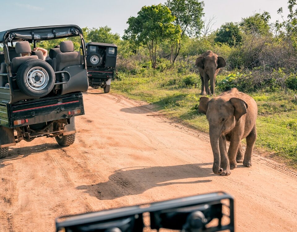 Game Drive in Semuliki Wildlife Reserve