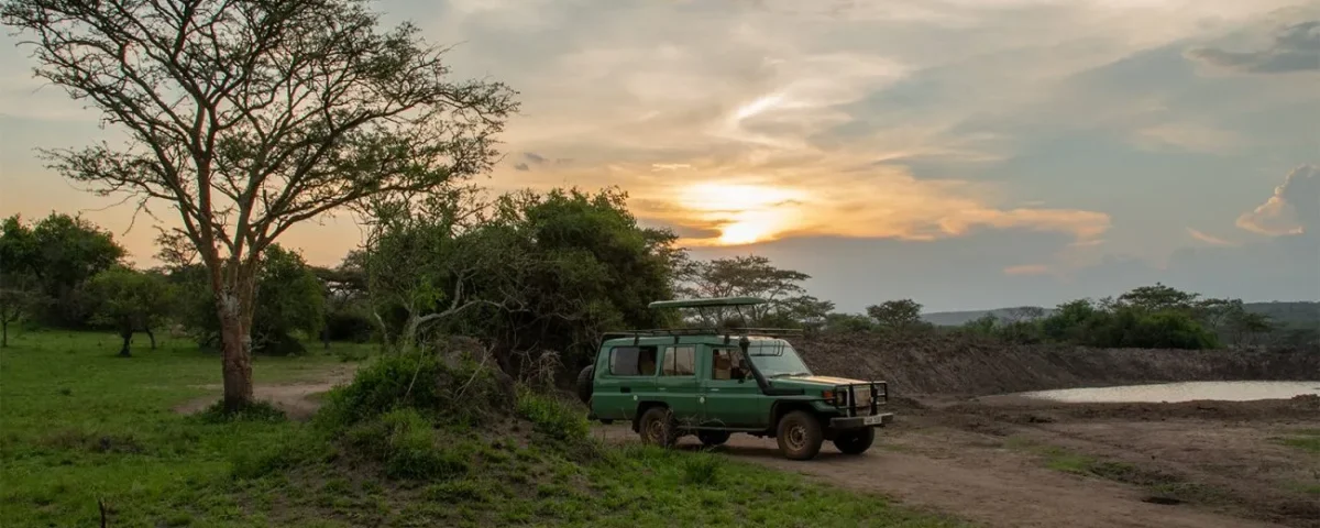 Night Game Drive in Lake Mburo National Park