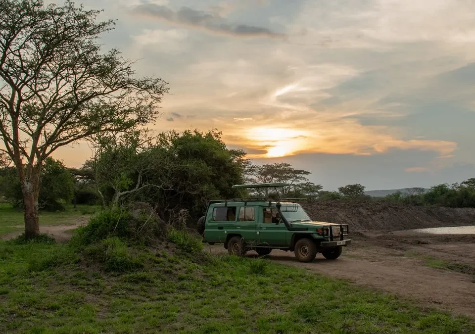 Night Game Drive in Lake Mburo National Park