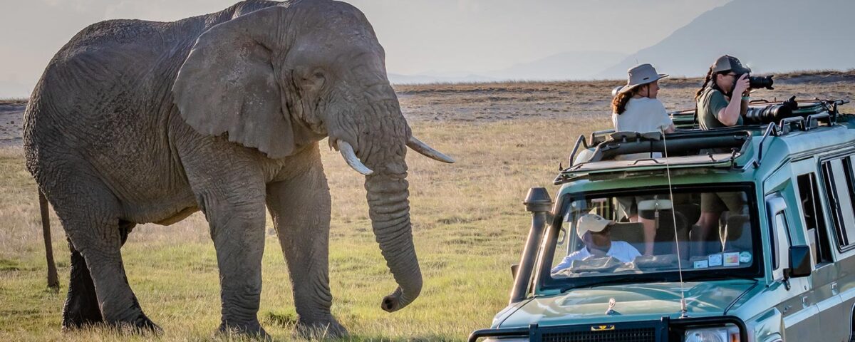 Game Drive in Queen Elizabeth National Park