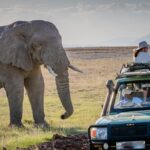 Game Drive in Queen Elizabeth National Park