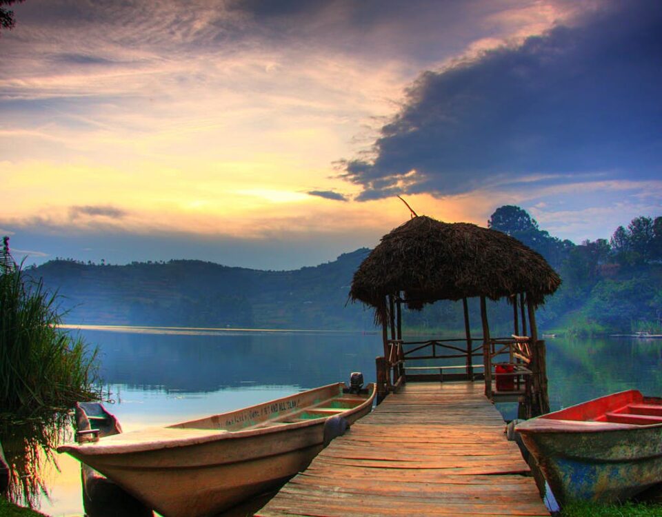 Are There Luxury and Budget Options for This Kind of Safari?