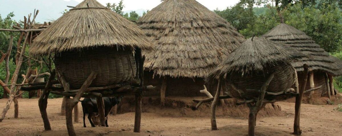 Cultural Visit to Karamojong Homesteads