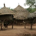 Cultural Visit to Karamojong Homesteads
