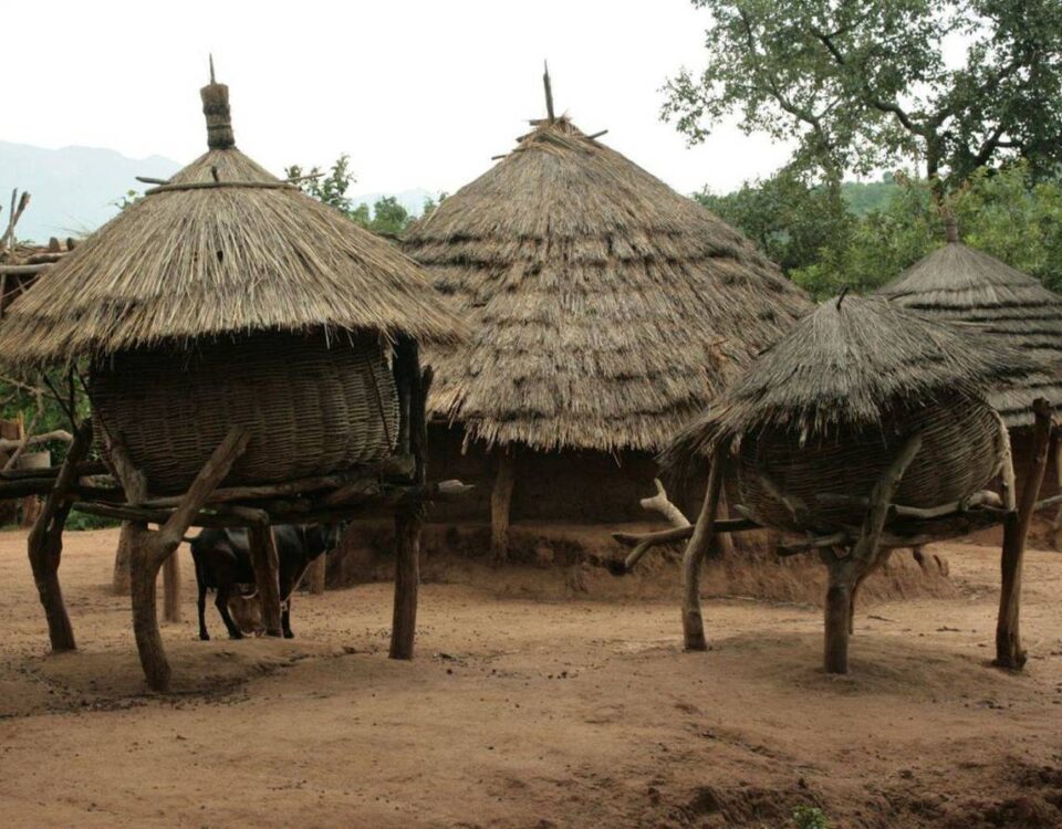 Cultural Visit to Karamojong Homesteads