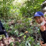 What is Uganda Gorilla Trekking