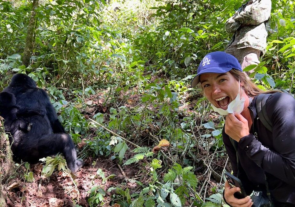 What is Uganda Gorilla Trekking