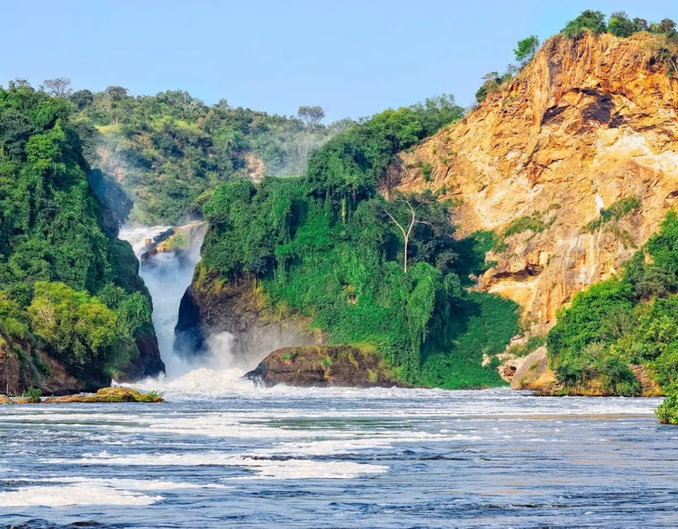 Murchison Falls National Park