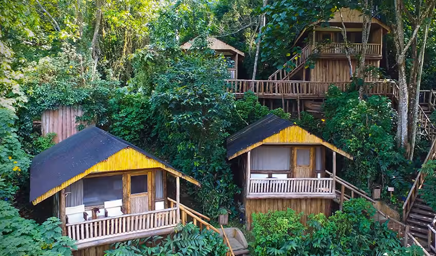 picture of a mid-luxury Accommodation in Bwindi